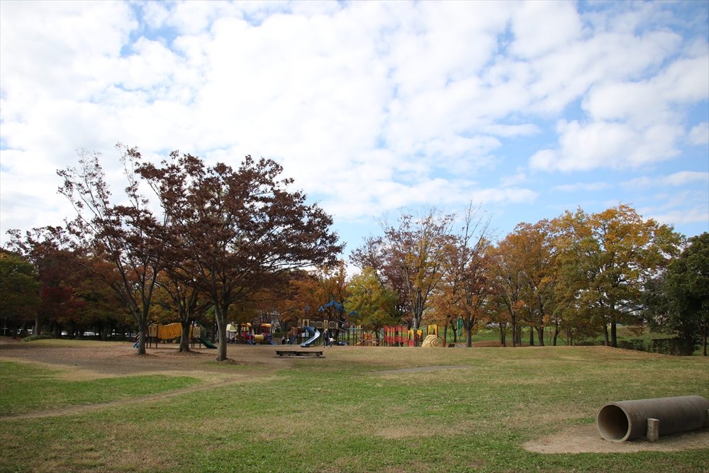 🏞️ 이와츠키 성터 공원 이미지 4